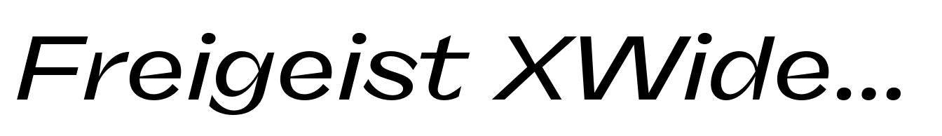 Freigeist XWide Medium Italic